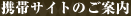 lJEEEOɂe@@WN[ȟgуTCĝē